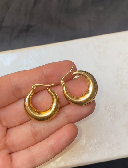 Salena hoops